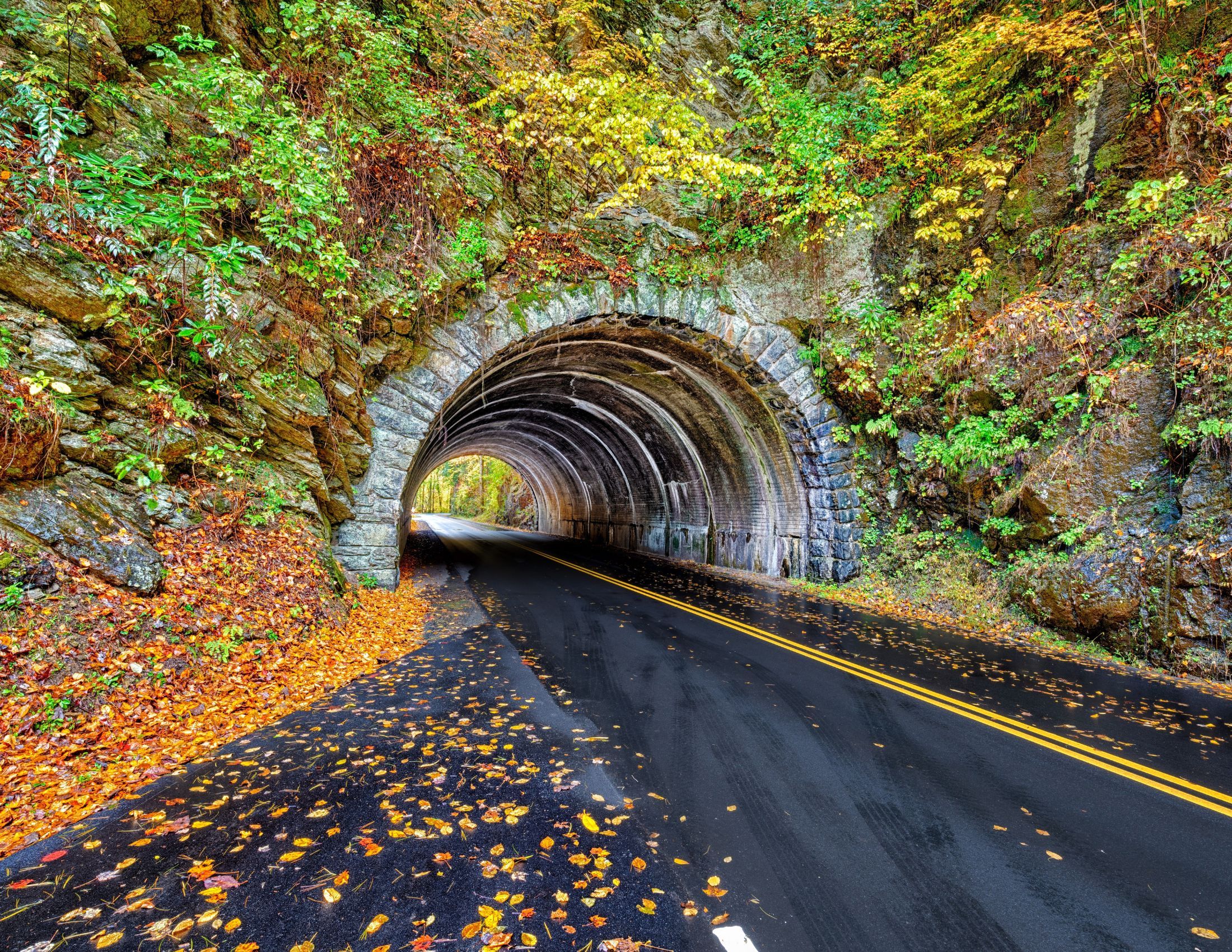 Scenic Drives in the Great Smoky Mountains: Experience Stunning Vistas and Waterfalls