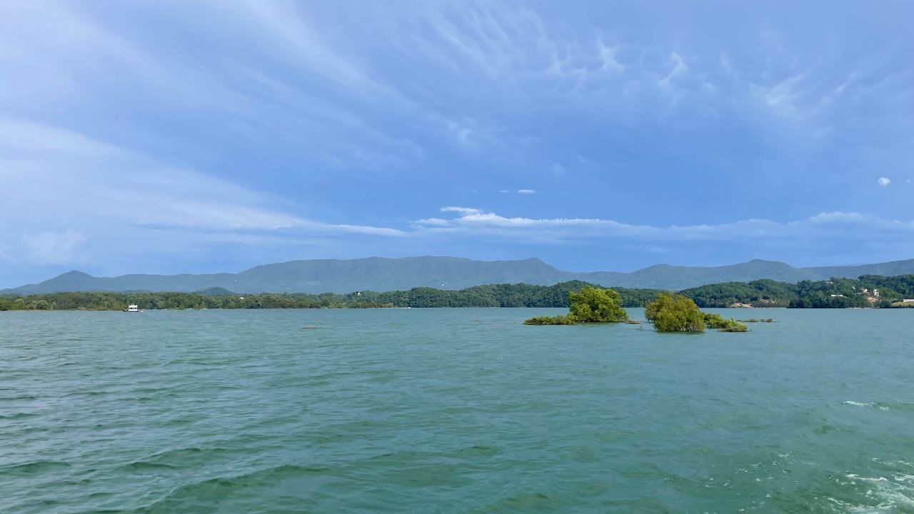 Douglas Lake Travel Guide: 8 Must-Do Activities for an Unforgettable Trip