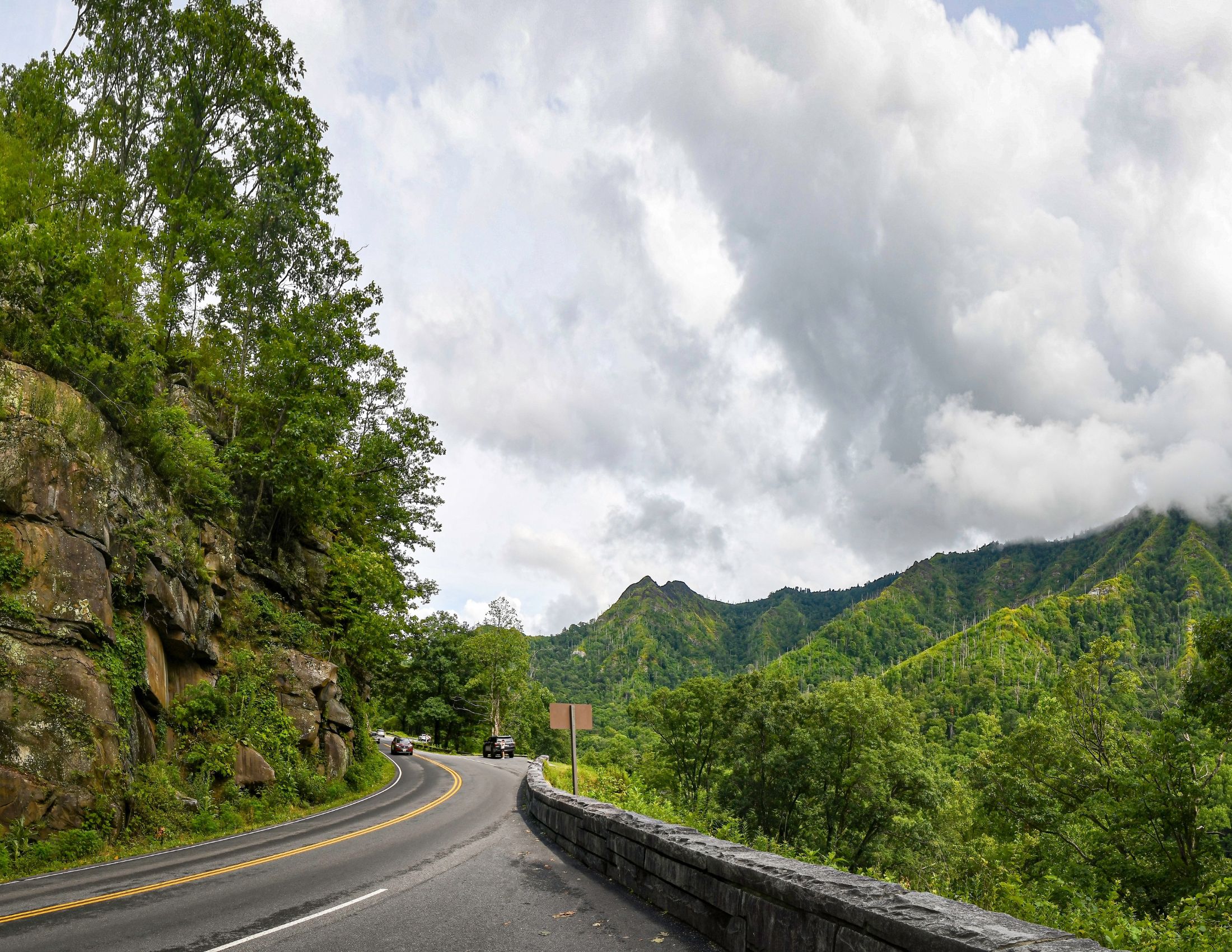Newfound Gap: Breathtaking Views & Key Trails in the Great Smoky Mountains