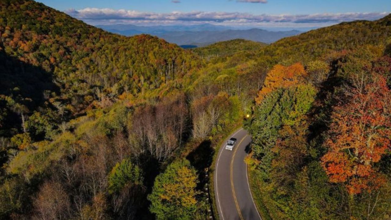 A winding mountain road known as the Tail of the Dragon, surrounded by dense forest.