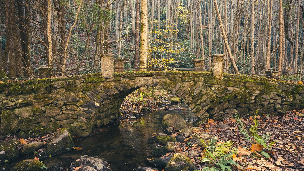 Discover a Troll Bridge in the Smoky Mountains