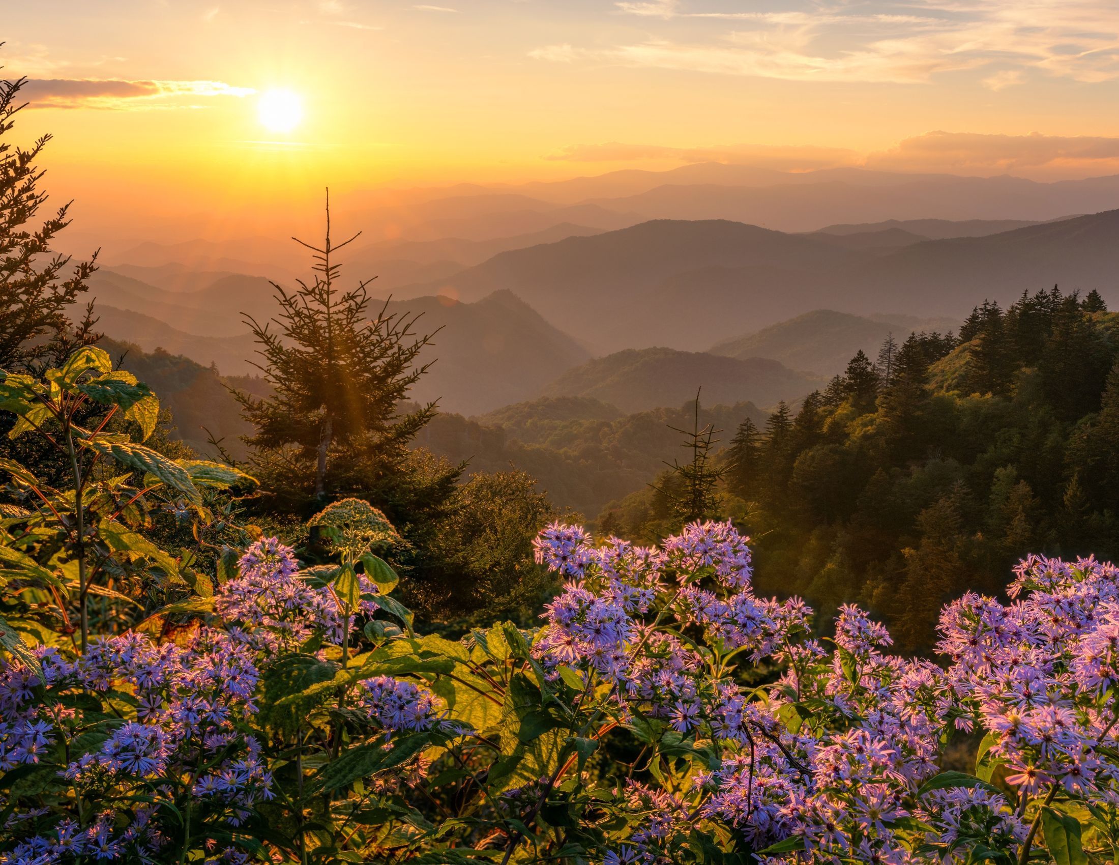 Best Sunset Spots in the Great Smoky Mountains National Park