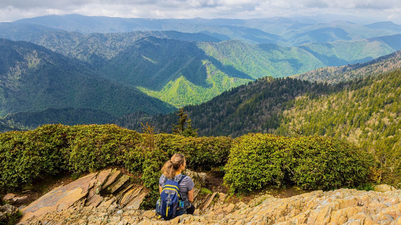 6 Best Trails in the Smoky Mountains