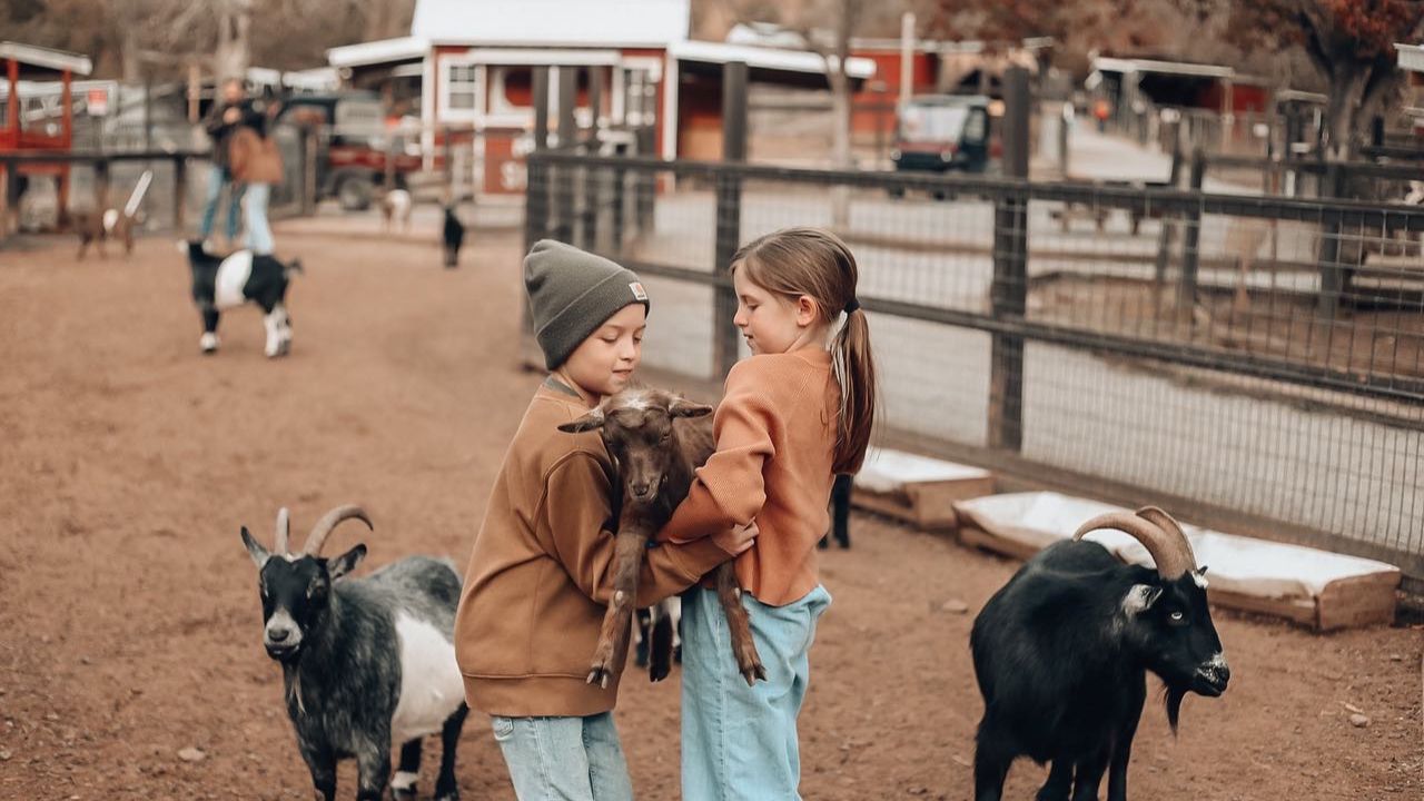 Kids at a petting zoo in the Smoky Mountains.