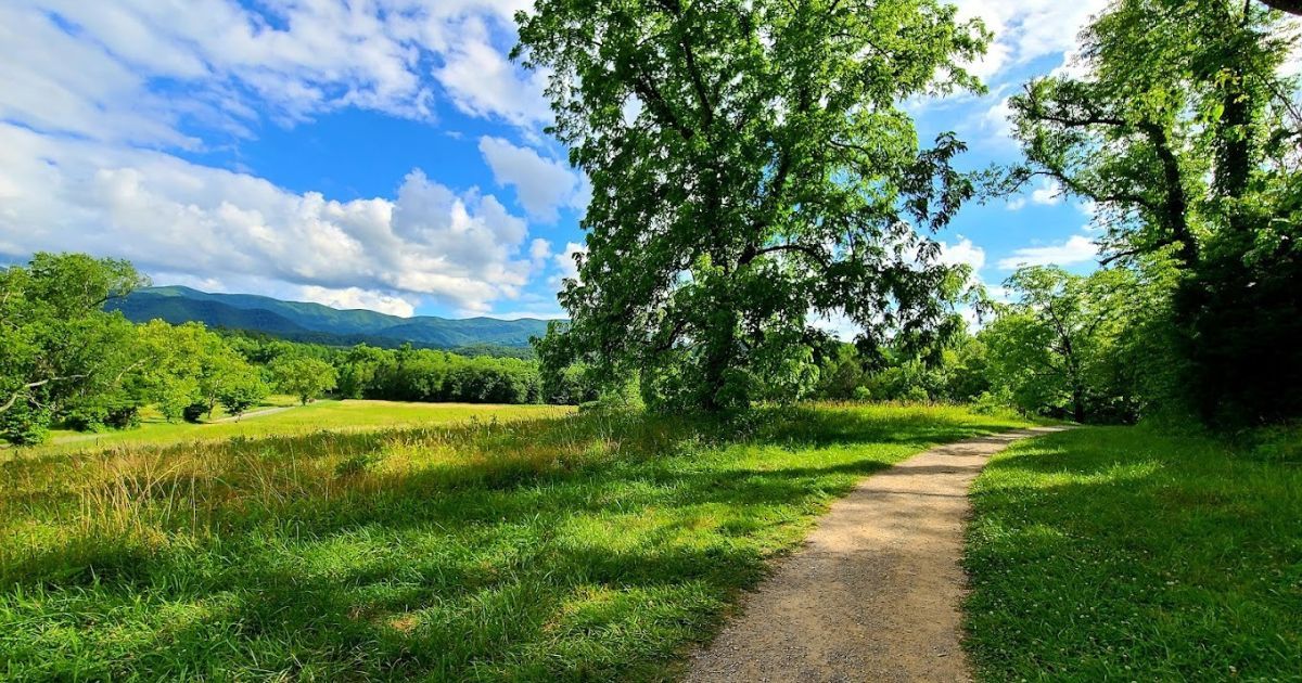 Smoky Mountains: Destination for Nature Lovers