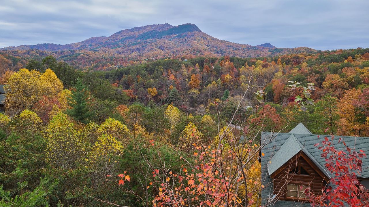 Seasonal Splendor: Enjoying Gatlinburg's Fall Colors from Colonial Properties' Cabins