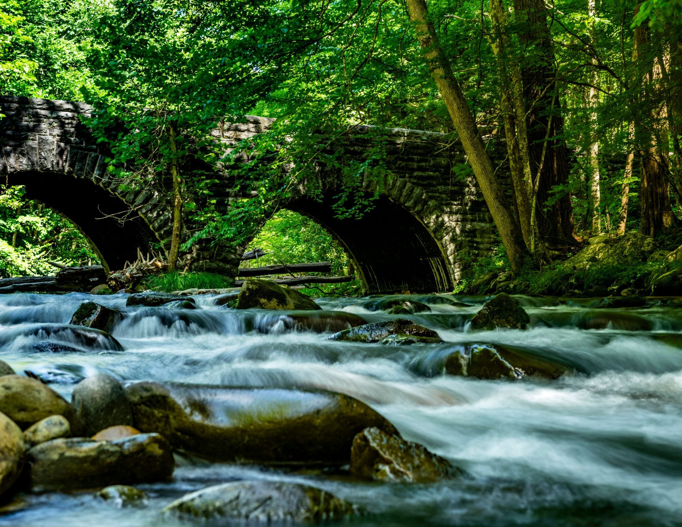 Elkmont: Historical Charm and Natural Beauty in the Smoky Mountains
