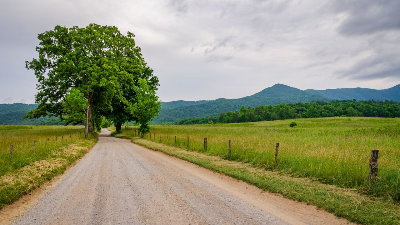 How Long is the Cades Cove Drive? A Guide to Exploring This Scenic Loop