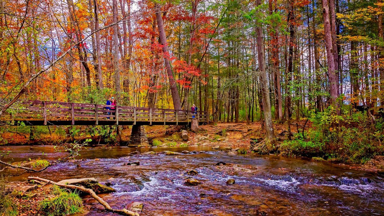 Top 6 Reasons to Experience Fall in the Smoky Mountains
