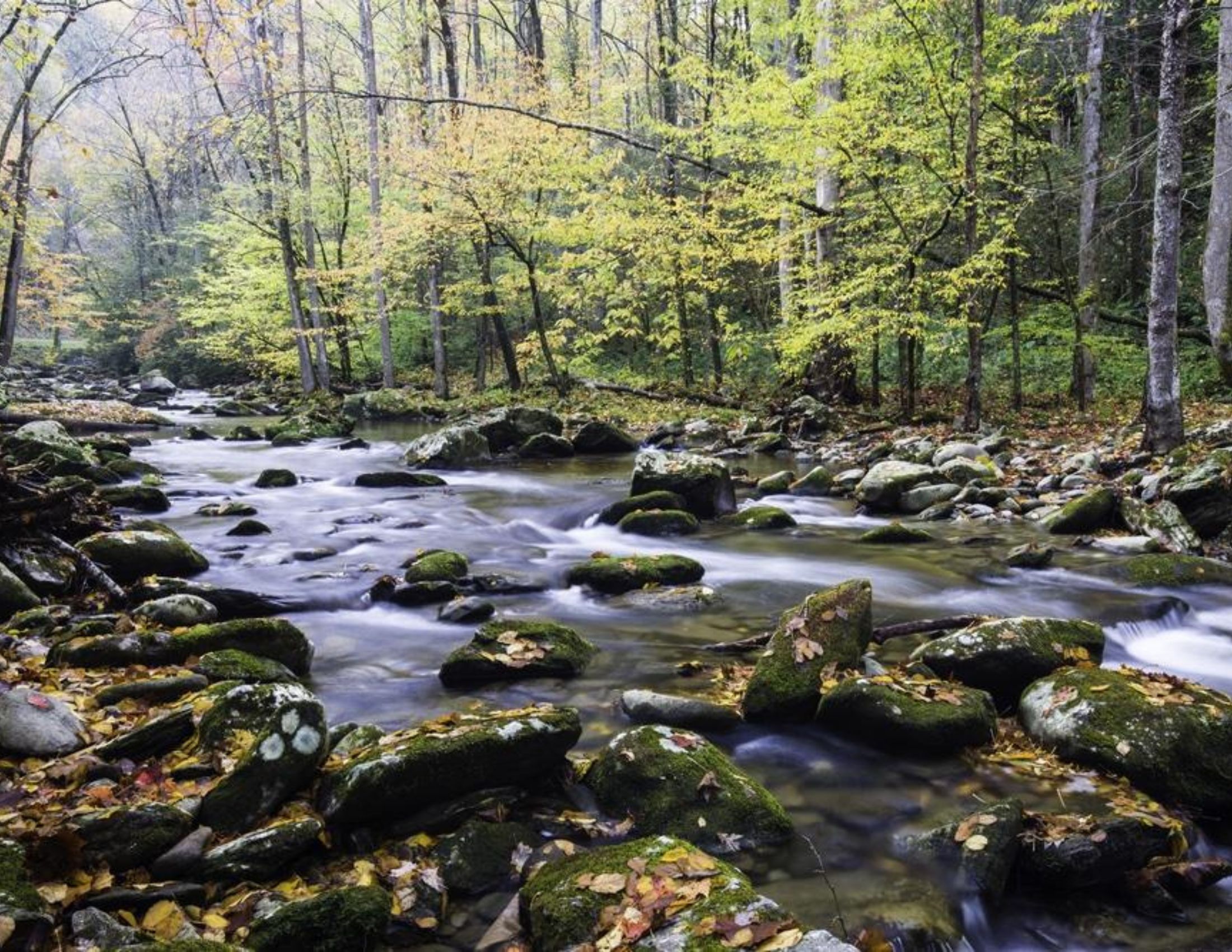 Pigeon Forge Cabins on the River