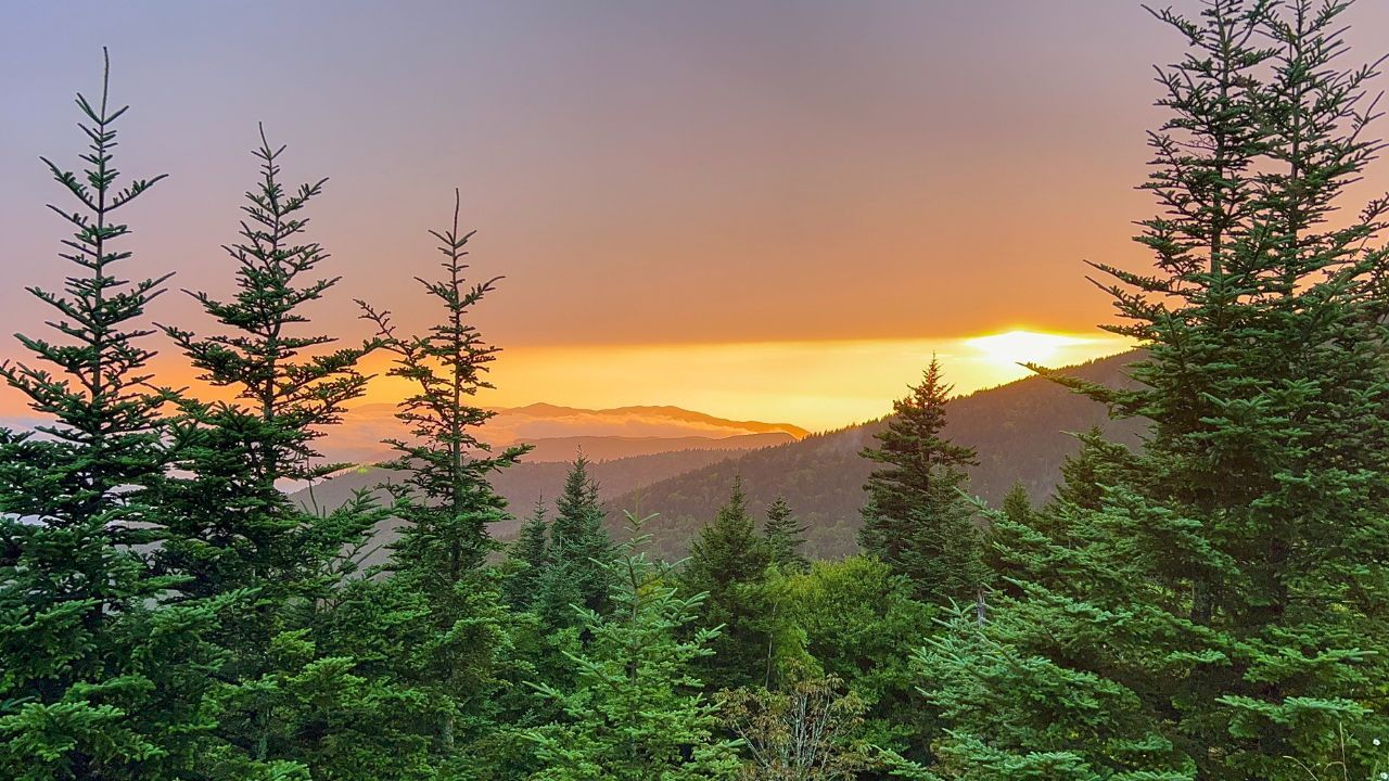 Discover the Unique Beauty of the Great Smoky Mountains