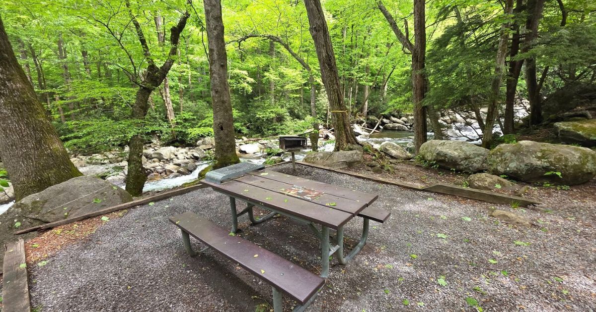 5 Best Spots for a Memorial Day Picnic in Gatlinburg