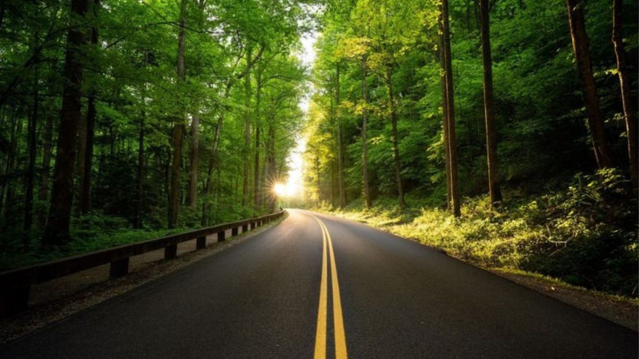 A winding mountain road cutting through dense forest in the Smoky Mountains.