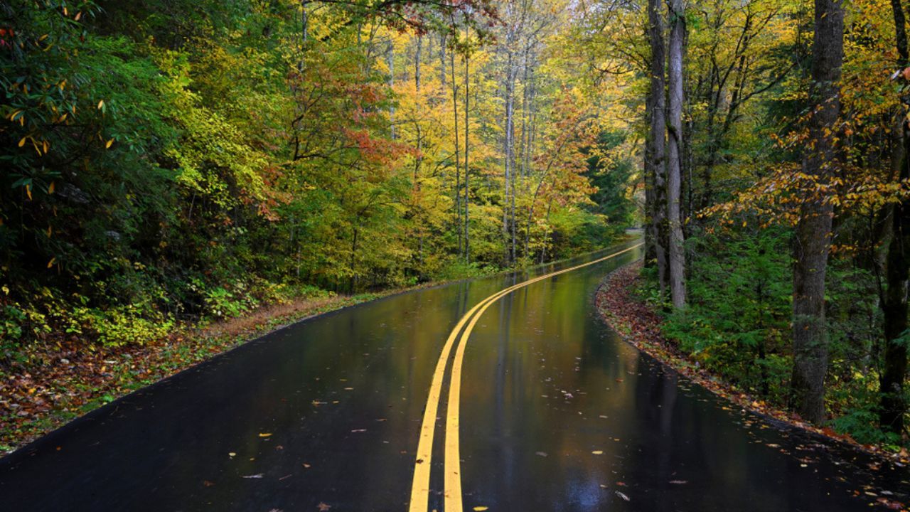 Fall in the Smoky Mountains: Everything You Need to Know