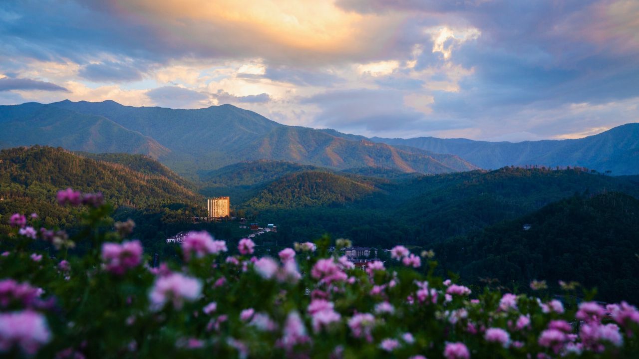 Top 7 Things to Do in the Smoky Mountains this March