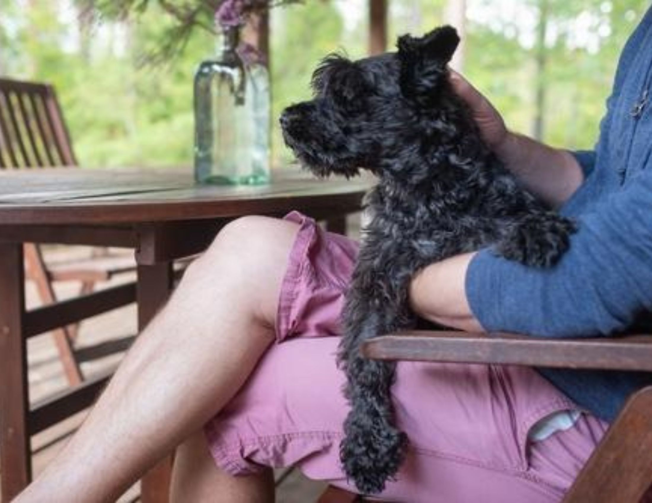 Pet-Friendly Pigeon Forge Cabins