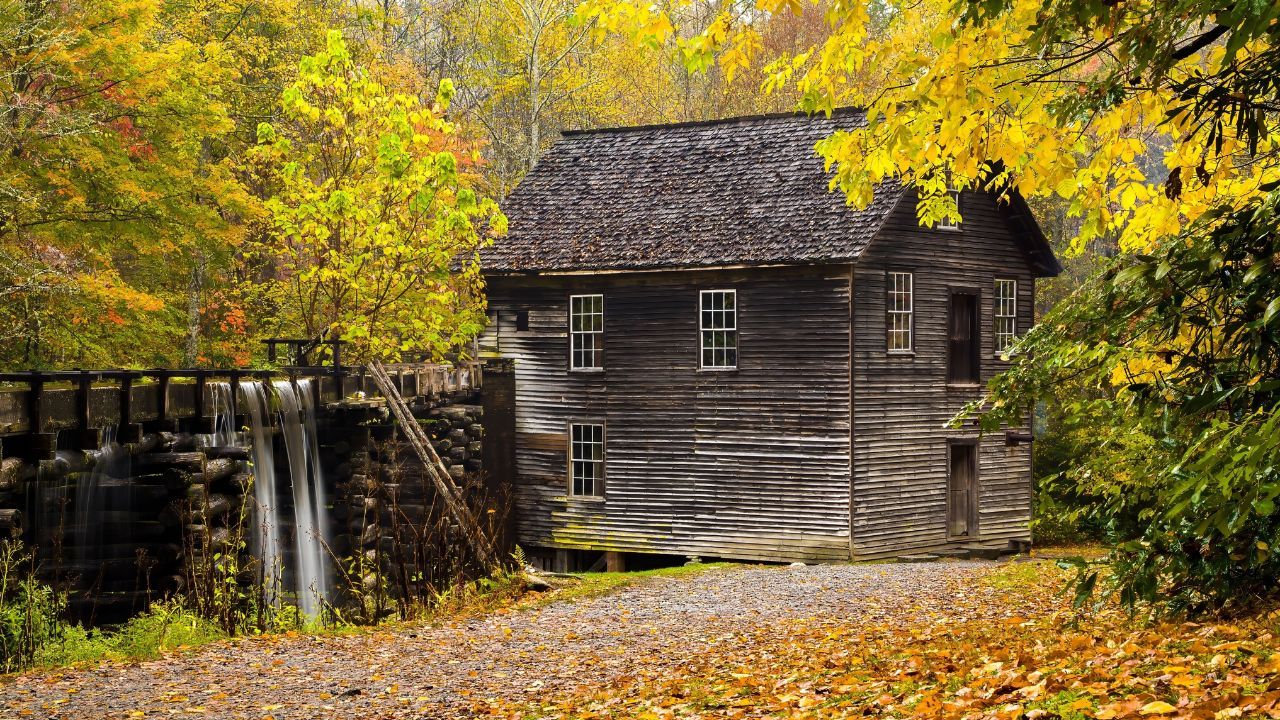 September Fall Color Report for the Great Smoky Mountains
